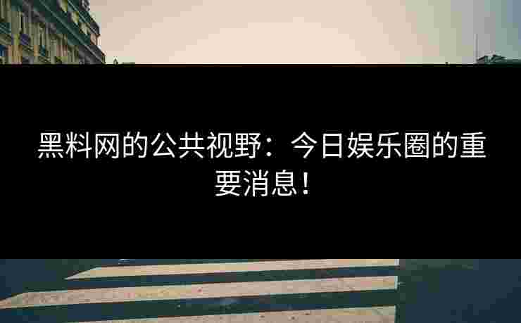 黑料网的公共视野：今日娱乐圈的重要消息！