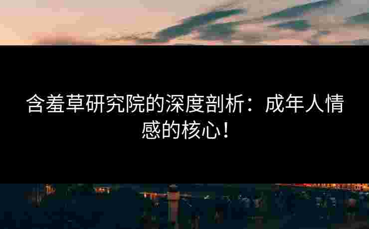 含羞草研究院的深度剖析：成年人情感的核心！